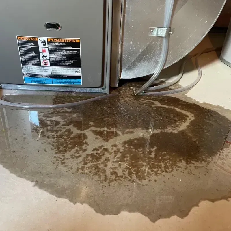 Appliance Leak Cleanup in Fort Washington, MD